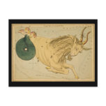 Capricornus (Capricorn) Post Cards