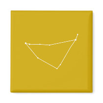 Capricornus Zodiac Magnet magnets