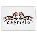 Capriole Dressage Ponies cards