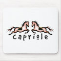 Capriole Dressage Ponies mousepads
