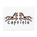 Capriole Dressage Ponies postcards by dogsandhorses Capriole Dressage Ponies postcards