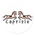 Capriole Dressage Ponies stickers