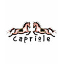 Capriole Dressage Ponies t-shirts