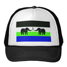Caprivi Bantustan, Myanmar flag Trucker Hats