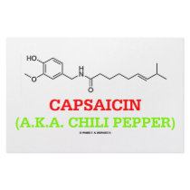 Capsaicin (A.K.A Chili Pepper) Chemical Molecule stationery