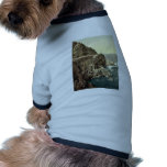 Capstone steps, Ilfracombe, England rare Photochro Dog Tee Shirt