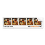 Captain Hazel Murphy Banner Bumper Stickers