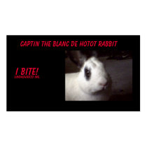 captin001, Captin The Blanc De Hotot Rabbit, I ... business cards by luvdashirt33 captin001, Captin The Blanc De Hotot Rabbit, I ... business cards