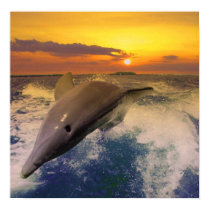 Captiva Dusk posters by Graphaze78 Captiva Dusk posters