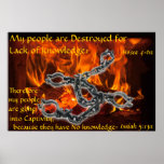 Captive Destruction posters