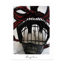 Captive posters