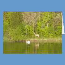 CAPTURE the MOMENT! - Blank Card cards