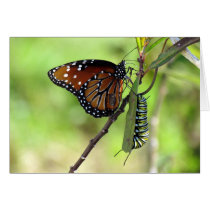 Capturing the Moment Greeting Card cards