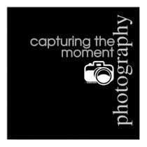 Capturing The Moment posters