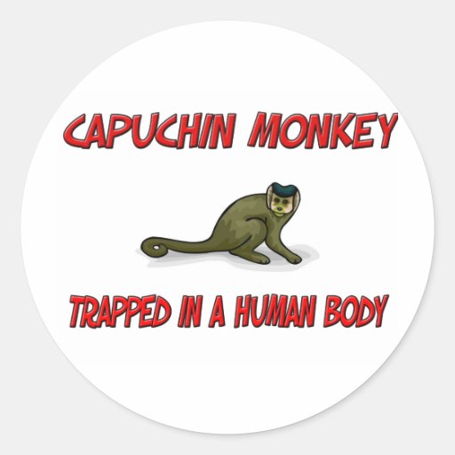 Capuchin Monkey trapped in a human body Round Stickers