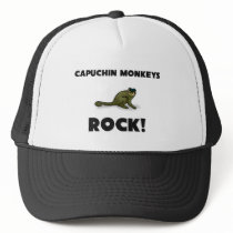 Capuchin Monkeys Rock hats