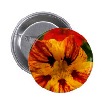 Capuchina Pins