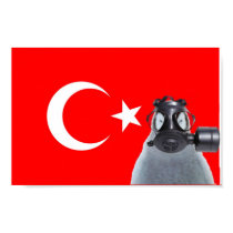 Capulcu  Poster