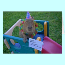 Capy Birthday From Caplin Rous cards