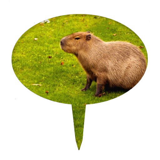 Capybara Cake Topper Materials