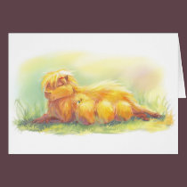 Capybara Family cards