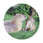 Capybara Mom and Son Magnet