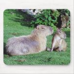 Capybara Mom and Son Mousepad Mouse Mat