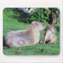 Capybara Mom and Son Mousepad Mouse Mat