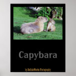 Capybara Mom and Son Poster Posters