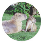 Capybara Mom and Son Stickers Stickers