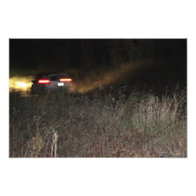 CAR 29 BOB LAKE ART PHOTO