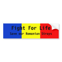 Car Bumper sticker animal rights and awareness
