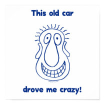 Car Drove Me Crazy