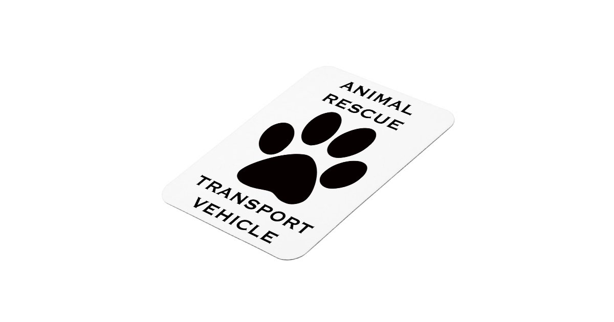 Car Animal Rescue Transport Vehicle Rectangular Photo