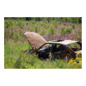 Car out in the field Poster posters by pulsDesign Car out in the field Poster posters