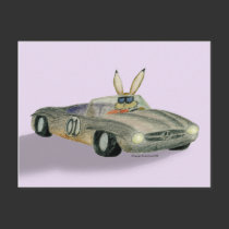 Car Racing Rabbit postcards