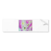 Car Wash I Bumper Sticker