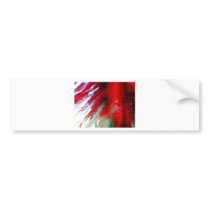 Car Wash II Bumper Stickers