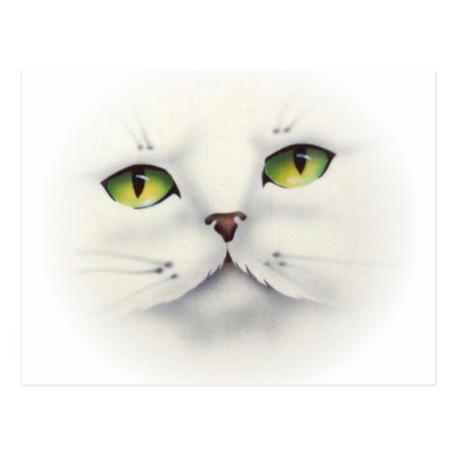cara del gato postales