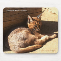 Caracal African Wild Cat Wildlife Supporter Mousepad