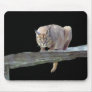 Caracal Cat Crouching Mousepad