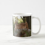 Caracal Lynx Mug