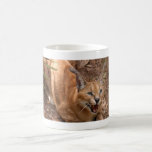 CaracalBCR004 Mugs
