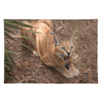 CaracalBCR004 placemats