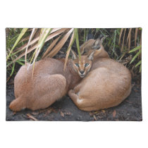 CaracalBCR006 placemats