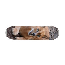 CaracalBCR007 skateboards