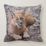 CaracalBCR007 Throw Pillow