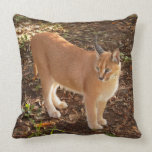 CaracalBCR008 Pillow
