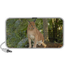 CaracalBCR015 Travel Speaker