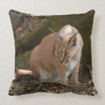 CaracalBCR021 Throw Pillows
